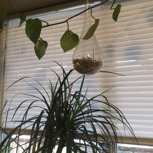 Meet your Posher, Jillian